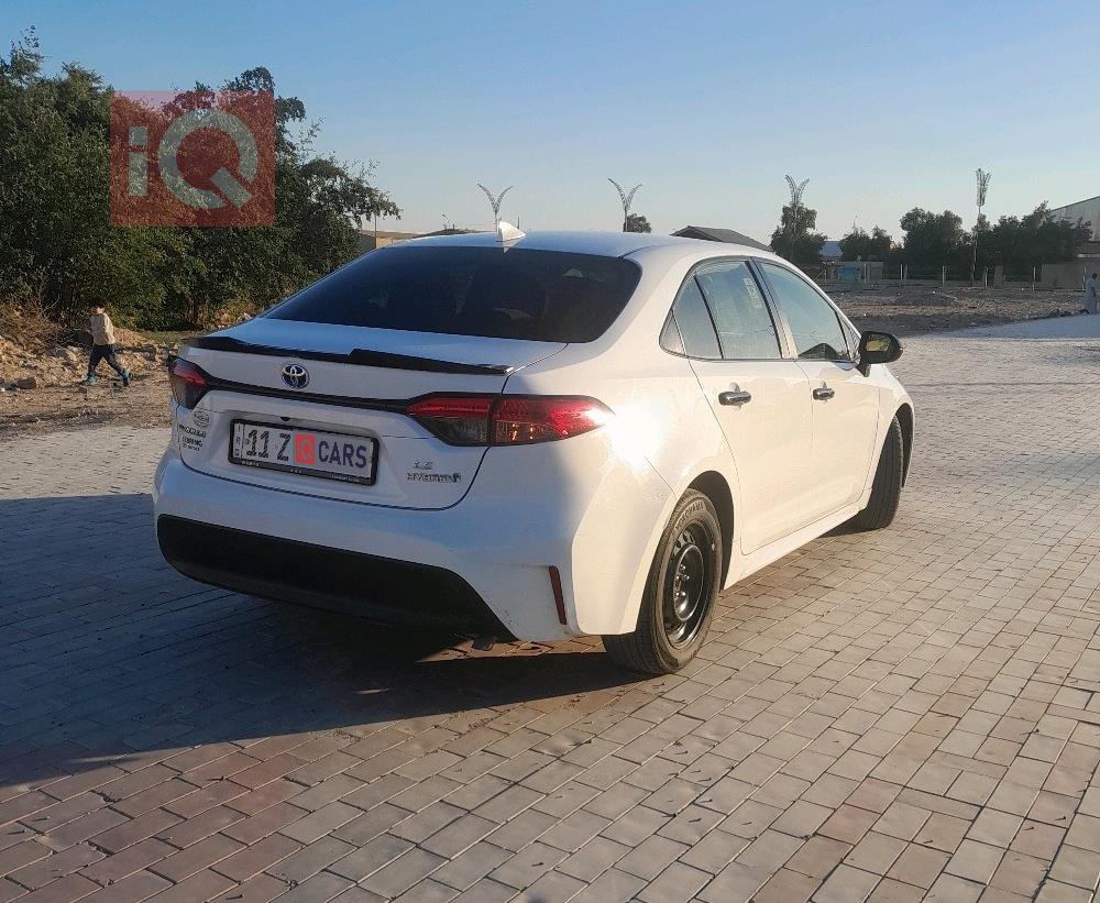 تويوتا كورولا